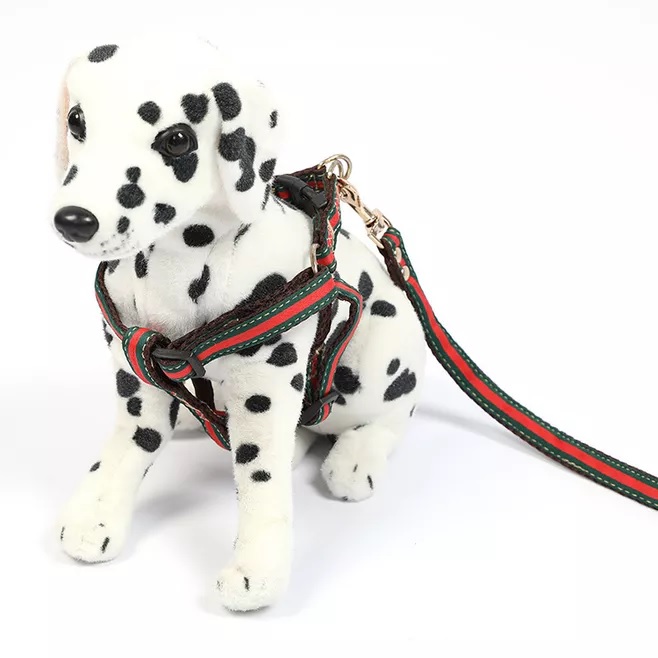 leather dog harness