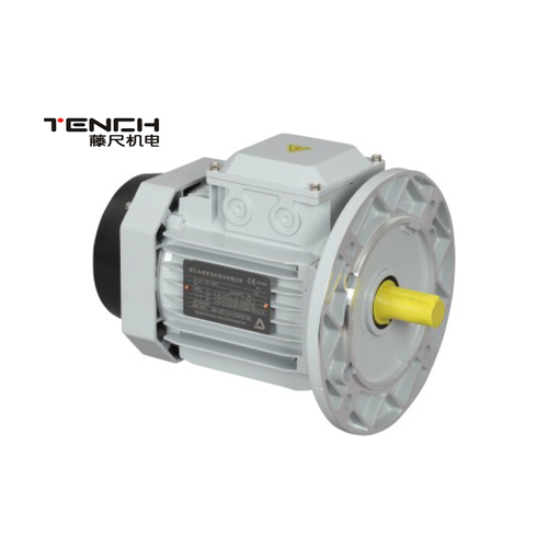 Motor asinkron trefazor me frekuencë të ndryshueshme YVF për makineri ushqimore